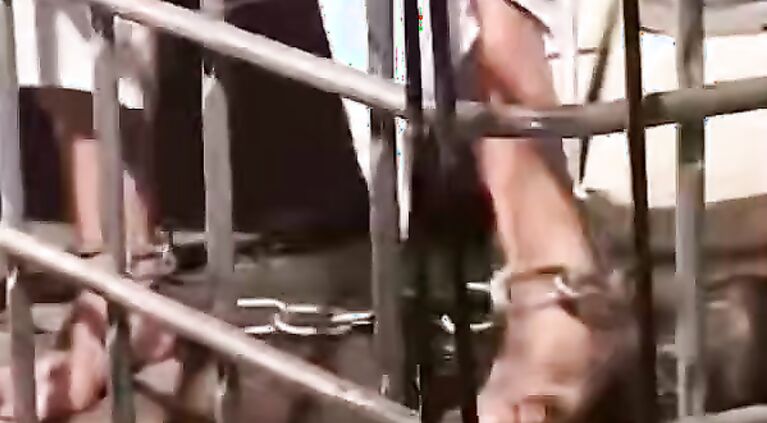 Cock and dick sucking can get rough in some of the more violent sex movies.