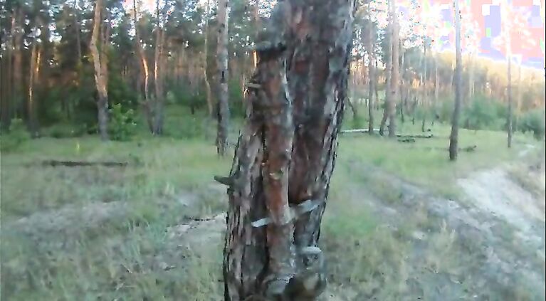 Man young girl with long hair sucking cock and fucking in the forest
