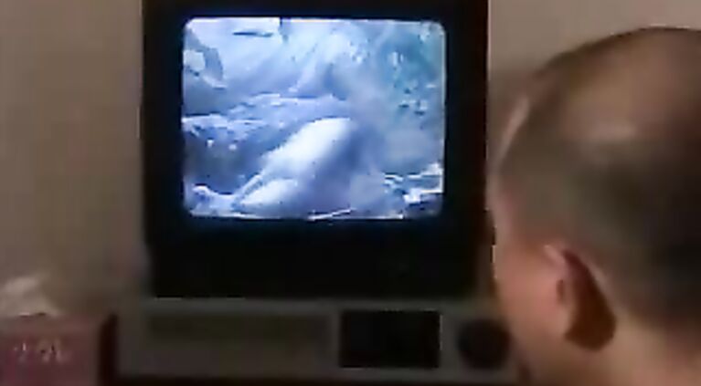 Wives forced into a real rape xxx movie with brutal fuck and oral sex scenes.