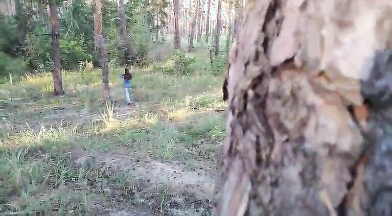 SEX IN THE FOREST