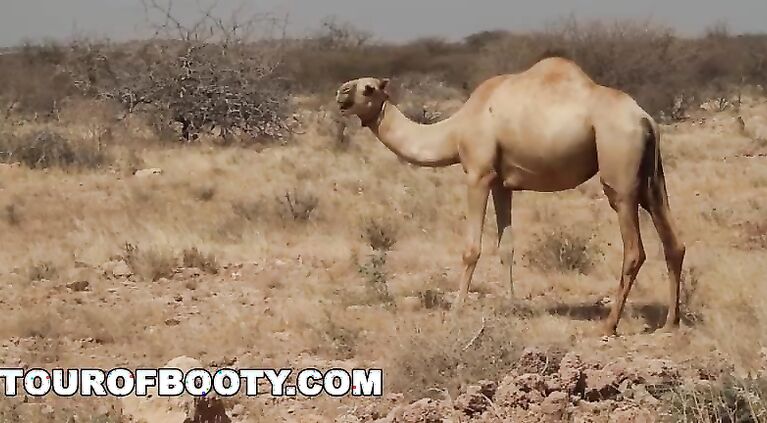 TOUR OF BOOTY - American Soldiers In The Middle East Shopping For Good Arab Pussy